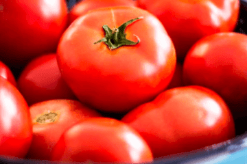 alimentação tomates orgânicos