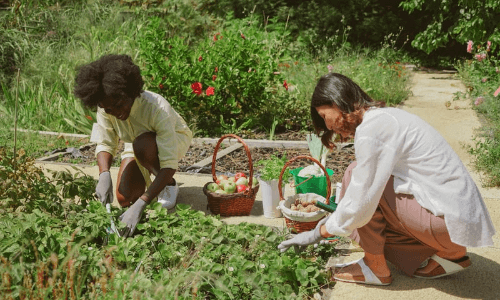 horta empreendedorismo comunitário 